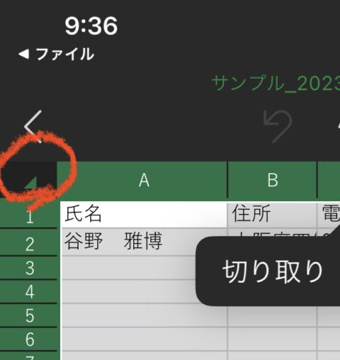 Excel　全部選択する